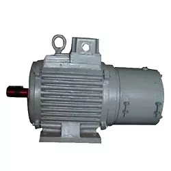 Industrial Electrical Motors Manufacturer In Delhi